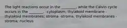 The light reactions occur in the ________, while the Calvin cycle occurs in the ________. -cytoplasm; thylakoid membrane -thylakoid membranes; stroma -stroma; thylakoid membranes -stroma; nucleus