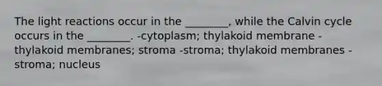 The light reactions occur in the ________, while the Calvin cycle occurs in the ________. -cytoplasm; thylakoid membrane -thylakoid membranes; stroma -stroma; thylakoid membranes -stroma; nucleus