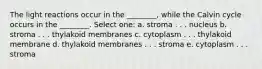 The light reactions occur in the ________, while the Calvin cycle occurs in the ________. Select one: a. stroma . . . nucleus b. stroma . . . thylakoid membranes c. cytoplasm . . . thylakoid membrane d. thylakoid membranes . . . stroma e. cytoplasm . . . stroma