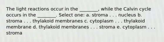 The light reactions occur in the ________, while the Calvin cycle occurs in the ________. Select one: a. stroma . . . nucleus b. stroma . . . thylakoid membranes c. cytoplasm . . . thylakoid membrane d. thylakoid membranes . . . stroma e. cytoplasm . . . stroma