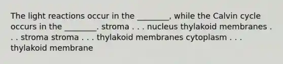 The <a href='https://www.questionai.com/knowledge/kSUoWrrvoC-light-reactions' class='anchor-knowledge'>light reactions</a> occur in the ________, while the Calvin cycle occurs in the ________. stroma . . . nucleus thylakoid membranes . . . stroma stroma . . . thylakoid membranes cytoplasm . . . thylakoid membrane