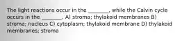 The light reactions occur in the ________, while the Calvin cycle occurs in the ________. A) stroma; thylakoid membranes B) stroma; nucleus C) cytoplasm; thylakoid membrane D) thylakoid membranes; stroma