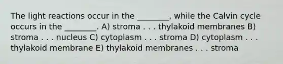 The light reactions occur in the ________, while the Calvin cycle occurs in the ________. A) stroma . . . thylakoid membranes B) stroma . . . nucleus C) cytoplasm . . . stroma D) cytoplasm . . . thylakoid membrane E) thylakoid membranes . . . stroma