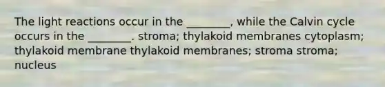 The light reactions occur in the ________, while the Calvin cycle occurs in the ________. stroma; thylakoid membranes cytoplasm; thylakoid membrane thylakoid membranes; stroma stroma; nucleus