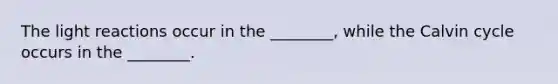 The light reactions occur in the ________, while the Calvin cycle occurs in the ________.