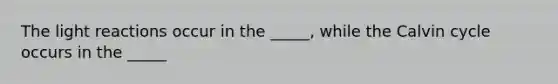 The <a href='https://www.questionai.com/knowledge/kSUoWrrvoC-light-reactions' class='anchor-knowledge'>light reactions</a> occur in the _____, while the Calvin cycle occurs in the _____