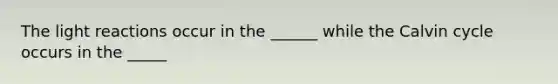 The light reactions occur in the ______ while the Calvin cycle occurs in the _____