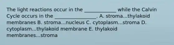 The light reactions occur in the _____________ while the Calvin Cycle occurs in the _________________. A. stroma...thylakoid membranes B. stroma...nucleus C. cytoplasm...stroma D. cytoplasm...thylakoid membrane E. thylakoid membranes...stroma