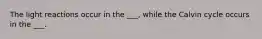 The light reactions occur in the ___, while the Calvin cycle occurs in the ___.