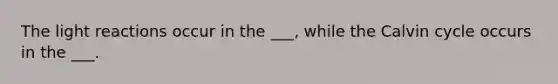 The <a href='https://www.questionai.com/knowledge/kSUoWrrvoC-light-reactions' class='anchor-knowledge'>light reactions</a> occur in the ___, while the Calvin cycle occurs in the ___.