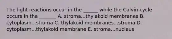 The light reactions occur in the ______ while the Calvin cycle occurs in the _______ A. stroma...thylakoid membranes B. cytoplasm...stroma C. thylakoid membranes...stroma D. cytoplasm...thylakoid membrane E. stroma...nucleus