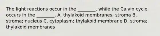 The <a href='https://www.questionai.com/knowledge/kSUoWrrvoC-light-reactions' class='anchor-knowledge'>light reactions</a> occur in the ________, while the Calvin cycle occurs in the ________. A. thylakoid membranes; stroma B. stroma; nucleus C. cytoplasm; thylakoid membrane D. stroma; thylakoid membranes