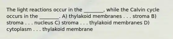 The light reactions occur in the ________, while the Calvin cycle occurs in the ________. A) thylakoid membranes . . . stroma B) stroma . . . nucleus C) stroma . . . thylakoid membranes D) cytoplasm . . . thylakoid membrane