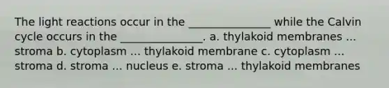 The light reactions occur in the _______________ while the Calvin cycle occurs in the _______________. a. thylakoid membranes ... stroma b. cytoplasm ... thylakoid membrane c. cytoplasm ... stroma d. stroma ... nucleus e. stroma ... thylakoid membranes