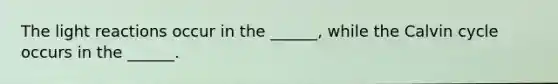 The <a href='https://www.questionai.com/knowledge/kSUoWrrvoC-light-reactions' class='anchor-knowledge'>light reactions</a> occur in the ______, while the Calvin cycle occurs in the ______.