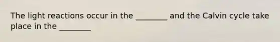 The light reactions occur in the ________ and the Calvin cycle take place in the ________