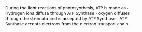 During the light reactions of photosynthesis, ATP is made as - Hydrogen ions diffuse through ATP Synthase - oxygen diffuses through the stromata and is accepted by ATP Synthase - ATP Synthase accepts electrons from the electron transport chain.