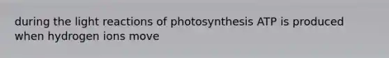 during the <a href='https://www.questionai.com/knowledge/kSUoWrrvoC-light-reactions' class='anchor-knowledge'>light reactions</a> of photosynthesis ATP is produced when hydrogen ions move