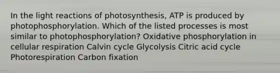 In the light reactions of photosynthesis, ATP is produced by photophosphorylation. Which of the listed processes is most similar to photophosphorylation? Oxidative phosphorylation in cellular respiration Calvin cycle Glycolysis Citric acid cycle Photorespiration Carbon fixation