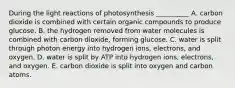 During the light reactions of photosynthesis __________ A. carbon dioxide is combined with certain organic compounds to produce glucose. B. the hydrogen removed from water molecules is combined with carbon dioxide, forming glucose. C. water is split through photon energy into hydrogen ions, electrons, and oxygen. D. water is split by ATP into hydrogen ions, electrons, and oxygen. E. carbon dioxide is split into oxygen and carbon atoms.