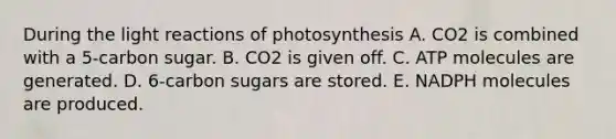 During the light reactions of photosynthesis A. CO2 is combined with a 5-carbon sugar. B. CO2 is given off. C. ATP molecules are generated. D. 6-carbon sugars are stored. E. NADPH molecules are produced.