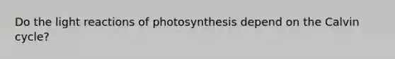 Do the light reactions of photosynthesis depend on the Calvin cycle?