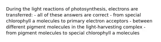 During the light reactions of photosynthesis, electrons are transferred: - all of these answers are correct - from special chlorophyll a molecules to primary electron acceptors - between different pigment molecules in the light-harvesting complex - from pigment molecules to special chlorophyll a molecules