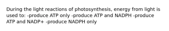 During the light reactions of photosynthesis, energy from light is used to: -produce ATP only -produce ATP and NADPH -produce ATP and NADP+ -produce NADPH only