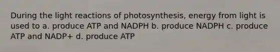 During the light reactions of photosynthesis, energy from light is used to a. produce ATP and NADPH b. produce NADPH c. produce ATP and NADP+ d. produce ATP