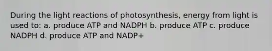 During the light reactions of photosynthesis, energy from light is used to: a. produce ATP and NADPH b. produce ATP c. produce NADPH d. produce ATP and NADP+