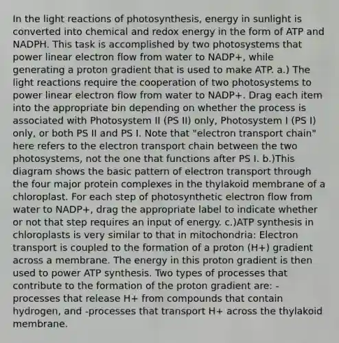 In the light reactions of photosynthesis, energy in sunlight is converted into chemical and redox energy in the form of ATP and NADPH. This task is accomplished by two photosystems that power linear electron flow from water to NADP+, while generating a proton gradient that is used to make ATP. a.) The light reactions require the cooperation of two photosystems to power linear electron flow from water to NADP+. Drag each item into the appropriate bin depending on whether the process is associated with Photosystem II (PS II) only, Photosystem I (PS I) only, or both PS II and PS I. Note that "electron transport chain" here refers to the electron transport chain between the two photosystems, not the one that functions after PS I. b.)This diagram shows the basic pattern of electron transport through the four major protein complexes in the thylakoid membrane of a chloroplast. For each step of photosynthetic electron flow from water to NADP+, drag the appropriate label to indicate whether or not that step requires an input of energy. c.)ATP synthesis in chloroplasts is very similar to that in mitochondria: Electron transport is coupled to the formation of a proton (H+) gradient across a membrane. The energy in this proton gradient is then used to power ATP synthesis. Two types of processes that contribute to the formation of the proton gradient are: -processes that release H+ from compounds that contain hydrogen, and -processes that transport H+ across the thylakoid membrane.