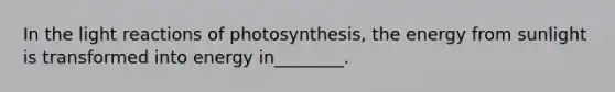 In the light reactions of photosynthesis, the energy from sunlight is transformed into energy in________.