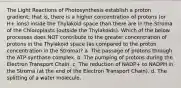 The Light Reactions of Photosynthesis establish a proton gradient; that is, there is a higher concentration of protons (or H+ ions) inside the Thylakoid space than there are in the Stroma of the Chloroplasts (outside the Thylakoids). Which of the below processes does NOT contribute to the greater concentration of protons in the Thylakoid space (as compared to the proton concentration in the Stroma)? a. The passage of protons through the ATP-synthase complex. b. The pumping of protons during the Electron Transport Chain. c. The reduction of NADP+ to NADPH in the Stroma (at the end of the Electron Transport Chain). d. The splitting of a water molecule.