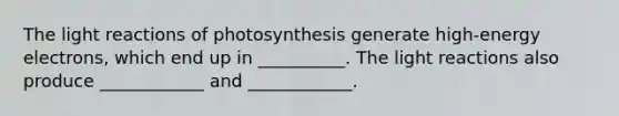 The light reactions of photosynthesis generate high-energy electrons, which end up in __________. The light reactions also produce ____________ and ____________.