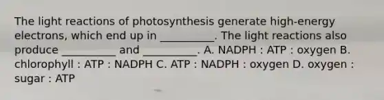 The light reactions of photosynthesis generate high-energy electrons, which end up in __________. The light reactions also produce __________ and __________. A. NADPH : ATP : oxygen B. chlorophyll : ATP : NADPH C. ATP : NADPH : oxygen D. oxygen : sugar : ATP