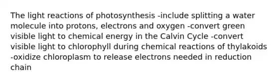 The <a href='https://www.questionai.com/knowledge/kSUoWrrvoC-light-reactions' class='anchor-knowledge'>light reactions</a> of photosynthesis -include splitting a water molecule into protons, electrons and oxygen -convert green visible light to chemical energy in the Calvin Cycle -convert visible light to chlorophyll during <a href='https://www.questionai.com/knowledge/kc6NTom4Ep-chemical-reactions' class='anchor-knowledge'>chemical reactions</a> of thylakoids -oxidize chloroplasm to release electrons needed in reduction chain