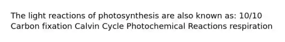 The light reactions of photosynthesis are also known as: 10/10 Carbon fixation Calvin Cycle Photochemical Reactions respiration