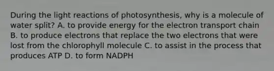 During the light reactions of photosynthesis, why is a molecule of water split? A. to provide energy for the electron transport chain B. to produce electrons that replace the two electrons that were lost from the chlorophyll molecule C. to assist in the process that produces ATP D. to form NADPH