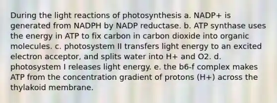 During the light reactions of photosynthesis a. NADP+ is generated from NADPH by NADP reductase. b. ATP synthase uses the energy in ATP to fix carbon in carbon dioxide into organic molecules. c. photosystem II transfers light energy to an excited electron acceptor, and splits water into H+ and O2. d. photosystem I releases light energy. e. the b6-f complex makes ATP from the concentration gradient of protons (H+) across the thylakoid membrane.