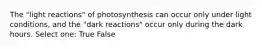 The "light reactions" of photosynthesis can occur only under light conditions, and the "dark reactions" occur only during the dark hours. Select one: True False