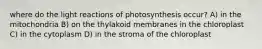 where do the light reactions of photosynthesis occur? A) in the mitochondria B) on the thylakoid membranes in the chloroplast C) in the cytoplasm D) in the stroma of the chloroplast