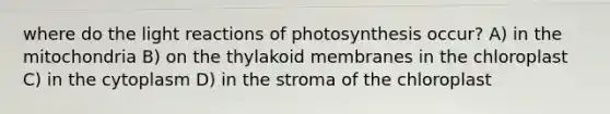 where do the <a href='https://www.questionai.com/knowledge/kSUoWrrvoC-light-reactions' class='anchor-knowledge'>light reactions</a> of photosynthesis occur? A) in the mitochondria B) on the thylakoid membranes in the chloroplast C) in the cytoplasm D) in the stroma of the chloroplast