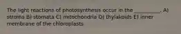 The light reactions of photosynthesis occur in the __________. A) stroma B) stomata C) mitochondria D) thylakoids E) inner membrane of the chloroplasts
