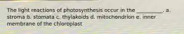 The light reactions of photosynthesis occur in the __________. a. stroma b. stomata c. thylakoids d. mitochondrion e. inner membrane of the chloroplast