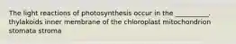 The light reactions of photosynthesis occur in the __________. thylakoids inner membrane of the chloroplast mitochondrion stomata stroma