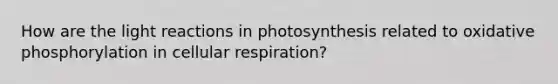 How are the <a href='https://www.questionai.com/knowledge/kSUoWrrvoC-light-reactions' class='anchor-knowledge'>light reactions</a> in photosynthesis related to <a href='https://www.questionai.com/knowledge/kFazUb9IwO-oxidative-phosphorylation' class='anchor-knowledge'>oxidative phosphorylation</a> in cellular respiration?