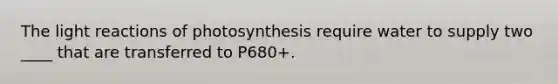 The <a href='https://www.questionai.com/knowledge/kSUoWrrvoC-light-reactions' class='anchor-knowledge'>light reactions</a> of photosynthesis require water to supply two ____ that are transferred to P680+.