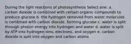 During the light reactions of photosynthesis Select one: a. carbon dioxide is combined with certain organic compounds to produce glucose b. the hydrogen removed from water molecules is combined with carbon dioxide, forming glucose c. water is split through photon energy into hydrogen and water d. water is split by ATP into hydrogen ions, electrons, and oxygen e. carbon dioxide is split into oxygen and carbon atoms