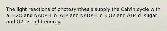 The light reactions of photosynthesis supply the Calvin cycle with a. H2O and NADPH. b. ATP and NADPH. c. CO2 and ATP. d. sugar and O2. e. light energy.