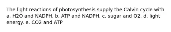 The light reactions of photosynthesis supply the Calvin cycle with a. H2O and NADPH. b. ATP and NADPH. c. sugar and O2. d. light energy. e. CO2 and ATP